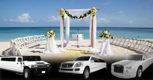 Images_(2)