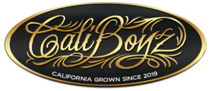 Caliboyz-logo