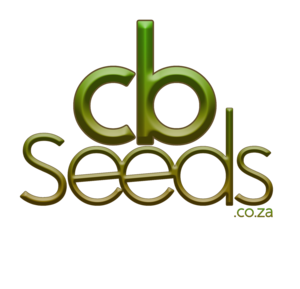 Logo-colour-1500x1500