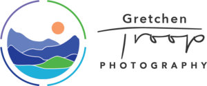 Gtlogo-horiz-3x