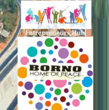 Borno_entrepreneurs_hub